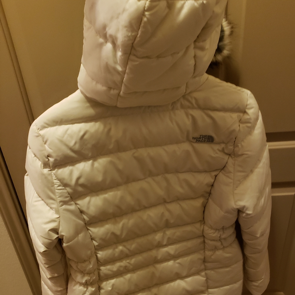 Jacket - Picture 6 of 8